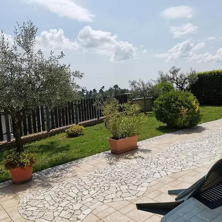 In Molto Confortevole *